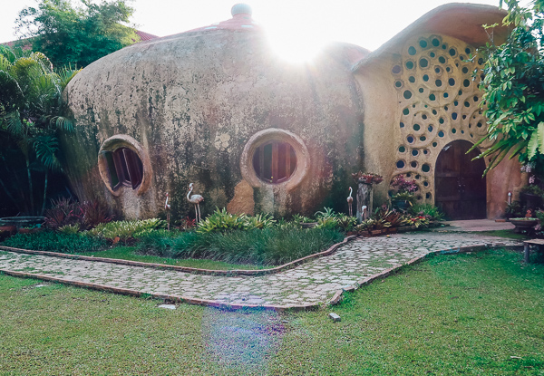 Snail Dome at Leafy Greens Clay House Chiang Mai